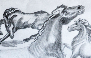 Sketch of horses